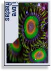 zs-badge-rasta.png
