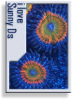 zs-badge-sunnyd.png